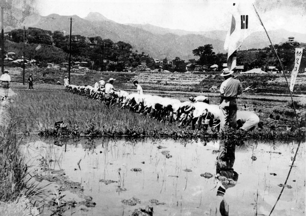  (1956년)근농일행사광경(사진=하동군 제공) 